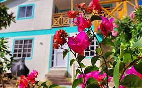 Colorful Garden House